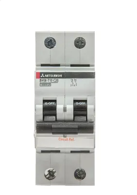 BHW-T10 2P Type B 50A